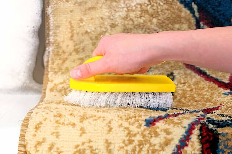 Discover the Right Rug Cleaning Schedule for a Healthier Home