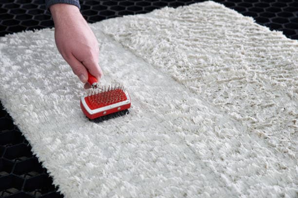: Fresh, clean rugs for a healthier home!