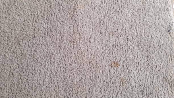 Say goodbye to pet stains and hello to fresh, clean carpets!